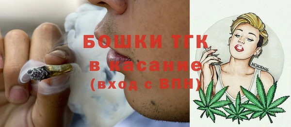 прущие грибы Верея