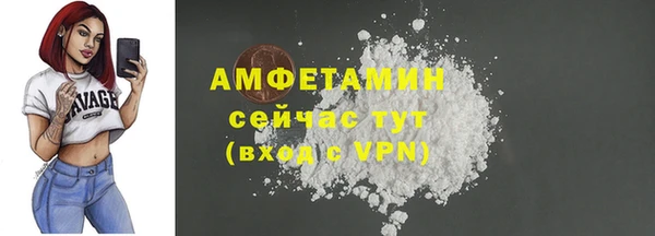 тгк Бородино