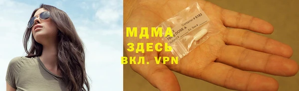 прущие грибы Верея