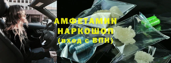 прущие грибы Верея