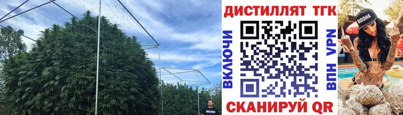 ТГК концентрат  Сретенск 